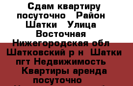 Сдам квартиру посуточно › Район ­ Шатки › Улица ­ Восточная - Нижегородская обл., Шатковский р-н, Шатки пгт Недвижимость » Квартиры аренда посуточно   . Нижегородская обл.